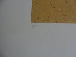 Ada Breedveld - Zeefdruk. z.t. (Dame in kimono met aap) kopen? Bied vanaf 35!