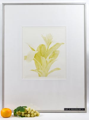 Marijke Fast - Moederbloem VI kopen? Bied vanaf 10!