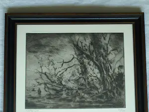 Wim Steijn - Ingelijste ets , Bos bij Haarlem – 1974 – Lijst, 37½ x 45½ cm. kopen? Bied vanaf 60!