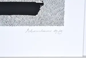 Jan Schoonhoven - Zeefdruk - Gesigneerd - 65x50 cm - 1989 kopen? Bied vanaf 690!