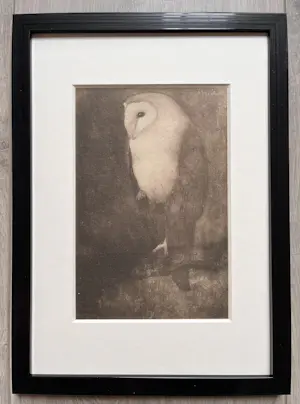 Jan Mankes - Originele Heliogravure Uil op Boomtak 1923 kopen? Bied vanaf 165!