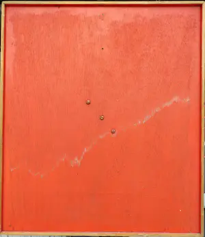 Bert Coppus - 3 vogels met druiventakken kopen? Bied vanaf 40!