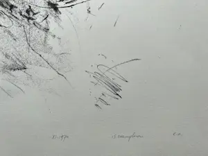 Jaap Hillenius - handgesigneerde litho | Uitgave 'De Luis' | 'XI 1970' kopen? Bied vanaf 50!