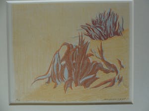 Jan Hein van Rooy - Litho, Plant Agave kopen? Bied vanaf 25!