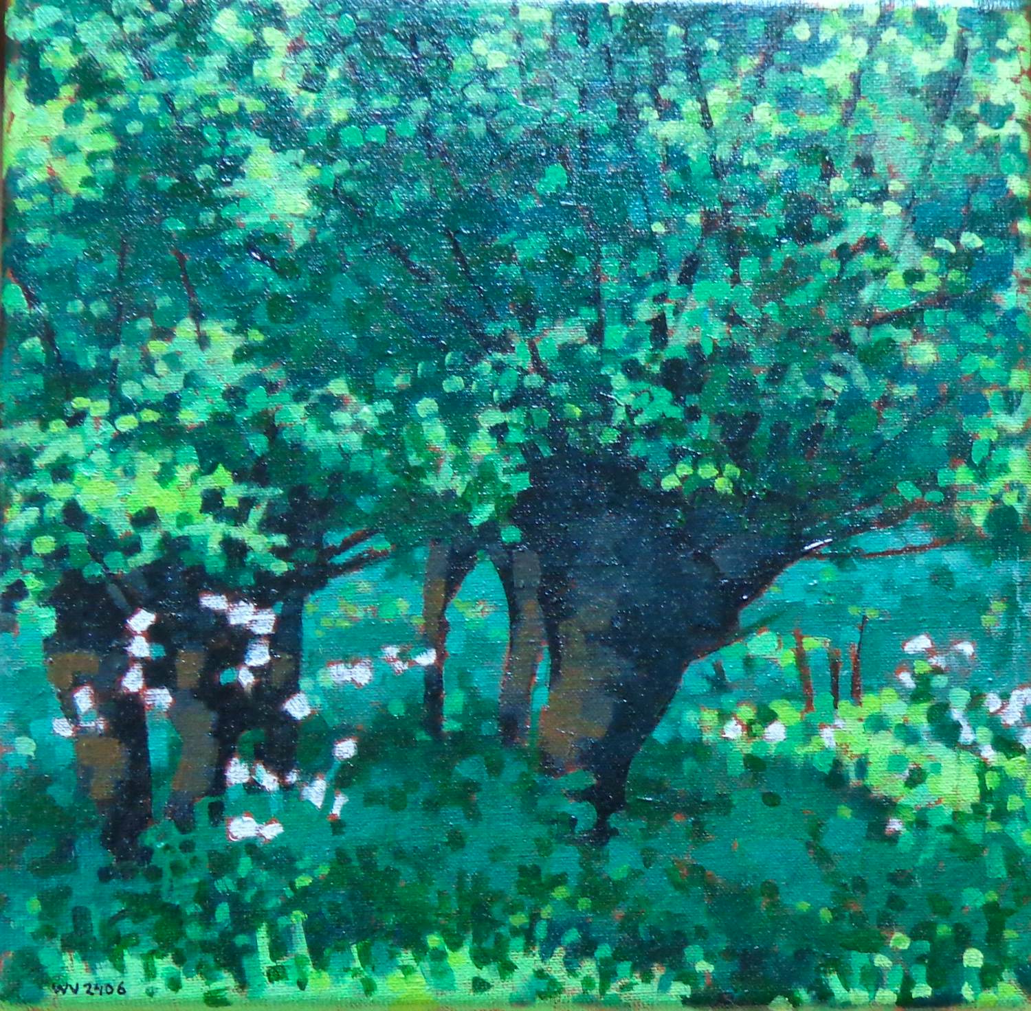 Willem Visser - BOMEN / OLIEVERF DOEK / 23x23cm / KADER / SIG / 2025 kopen? Bied vanaf 25!