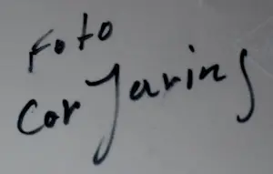 Cor Jaring - Foto kopen? Bied vanaf 125!