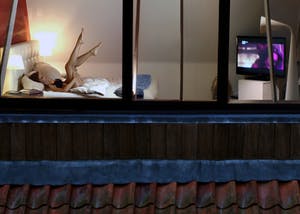 Filip Naudts - "Jan Schepens & Katja Retsin" (afwerking: diasec) kopen? Bied vanaf 60!