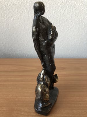 Brons (Onbekend) - Zwaar massief bronzen beeld van man met hond - kat en konijn. kopen? Bied vanaf 45!