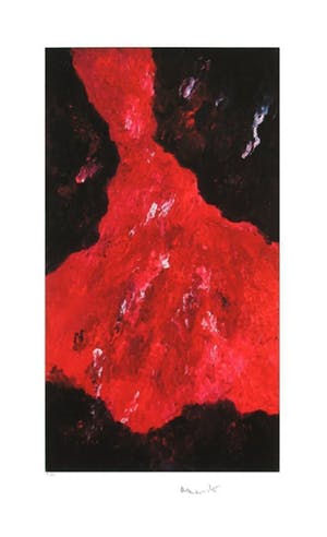 Armando - Rotes Gewand, Handgesigneerde giclée kopen? Bied vanaf 125!