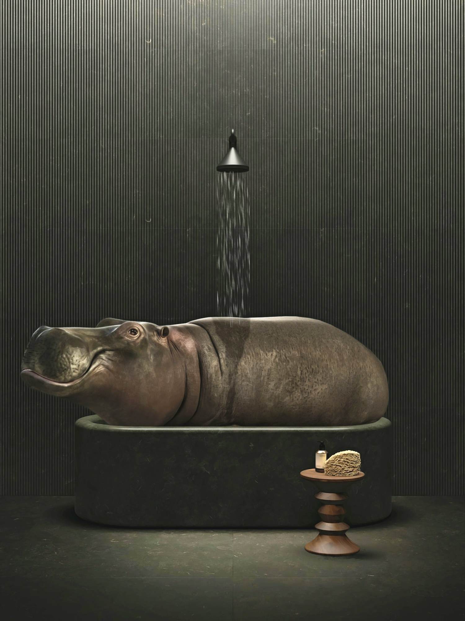 Mr Strange - Nijlpaardenbad kopen? Bied vanaf 75!