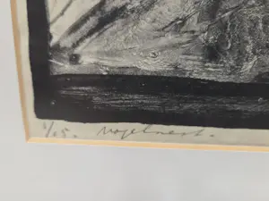 Aart van Dobbenburgh - Vogelnest kopen? Bied vanaf 20!