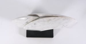 Jos van Vreeswijk - Marmer, Groei I kopen? Bied vanaf 100!