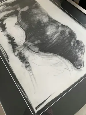 Nico Vrielink - Stier UNICA‼️ kopen? Bied vanaf 299!