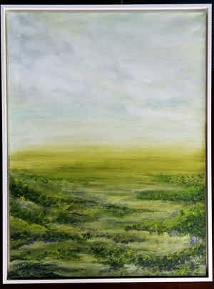 Joost Erftemeijer - Landschap verkocht voor € 80!