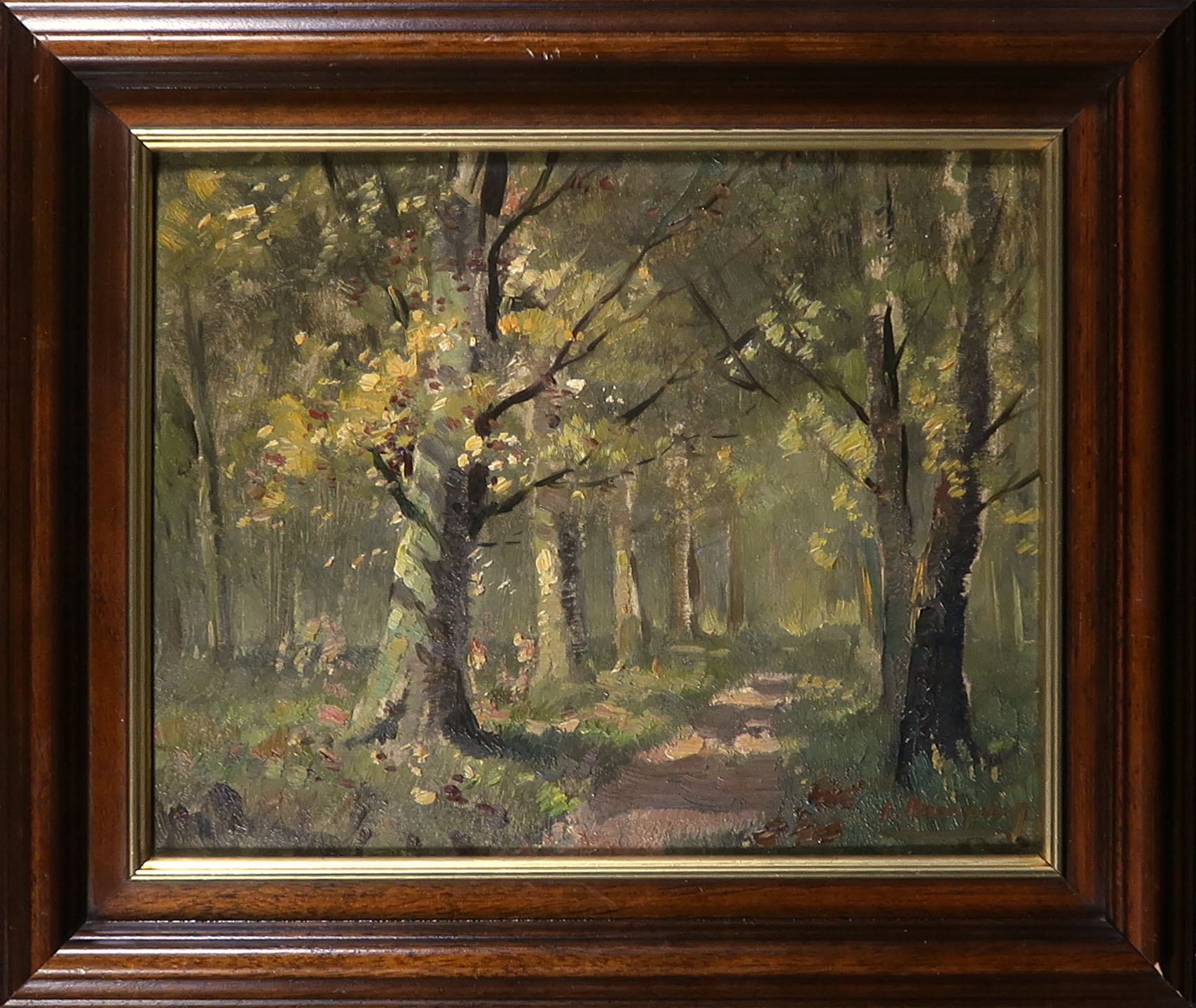 Niet of onleesbaar gesigneerd - Olieverf op board, Bosgezicht - Ingelijst verkocht voor € 1!