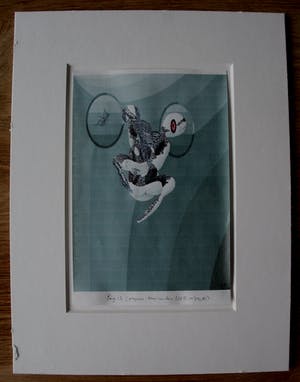 Leo Vroman - Offset print: Fig 12 kopen? Bied vanaf 49!