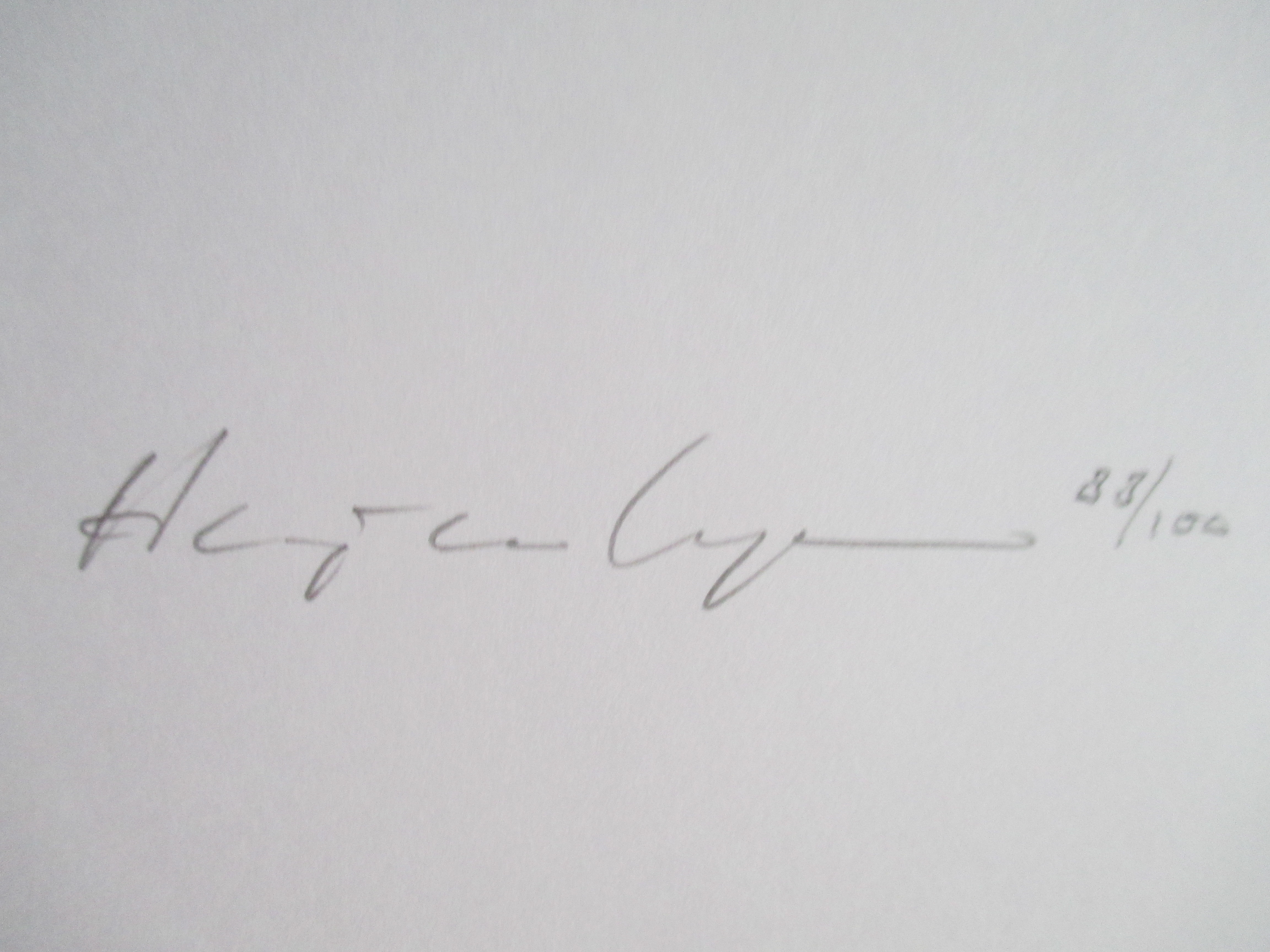 Harry van Kuyk - Zeefdruk 1977 kopen? Bied vanaf 120!