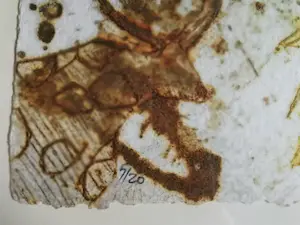 Chabab Tayefeh Mohajer - Ingelijste reliefets "Dance des Arches" kopen? Bied vanaf 60!