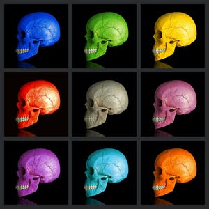 Mr. Strange - UNITED COLORS OF THE DEATH II kopen? Bied vanaf 80!