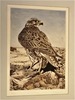 Timothy John Greenwood - gelauwerde Brits graficus - "Havik en prooi" - ETS & aquatint - oplage 100 kopen? Bied vanaf 42!