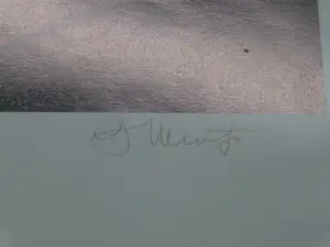 Georg Muche - Nemisee, Auge der Diana kopen? Bied vanaf 30!