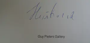 Reinhoud D'Haese - Gesigneerd boek kopen? Bied vanaf 50!