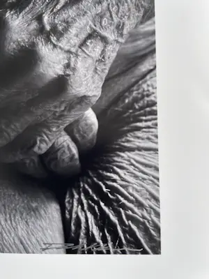 Paul Blanca - Mama kopen? Bied vanaf 150!