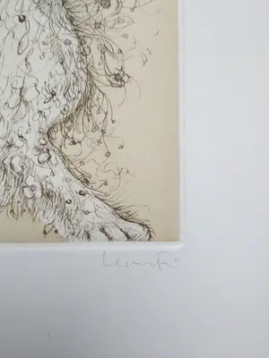 Leonor Fini - Ets 1976 kopen? Bied vanaf 65!