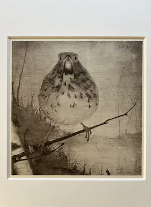 Jan Mankes - Originele Heliogravure - Lijster op Tak 1923 kopen? Bied vanaf 165!