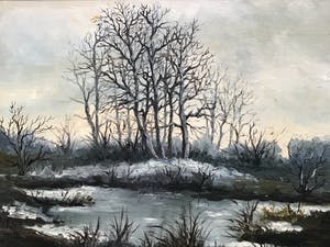 Niet of onleesbaar gesigneerd - Bomen in winter. kopen? Bied vanaf 1!