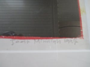 Joost Minnigh - Grote ingelijste litho "Amaryllis met spiegelbeeld" perfect ingelijst kopen? Bied vanaf 80!