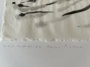 Jan Doms - TWEE AQUARELLEN kopen? Bied vanaf 49!