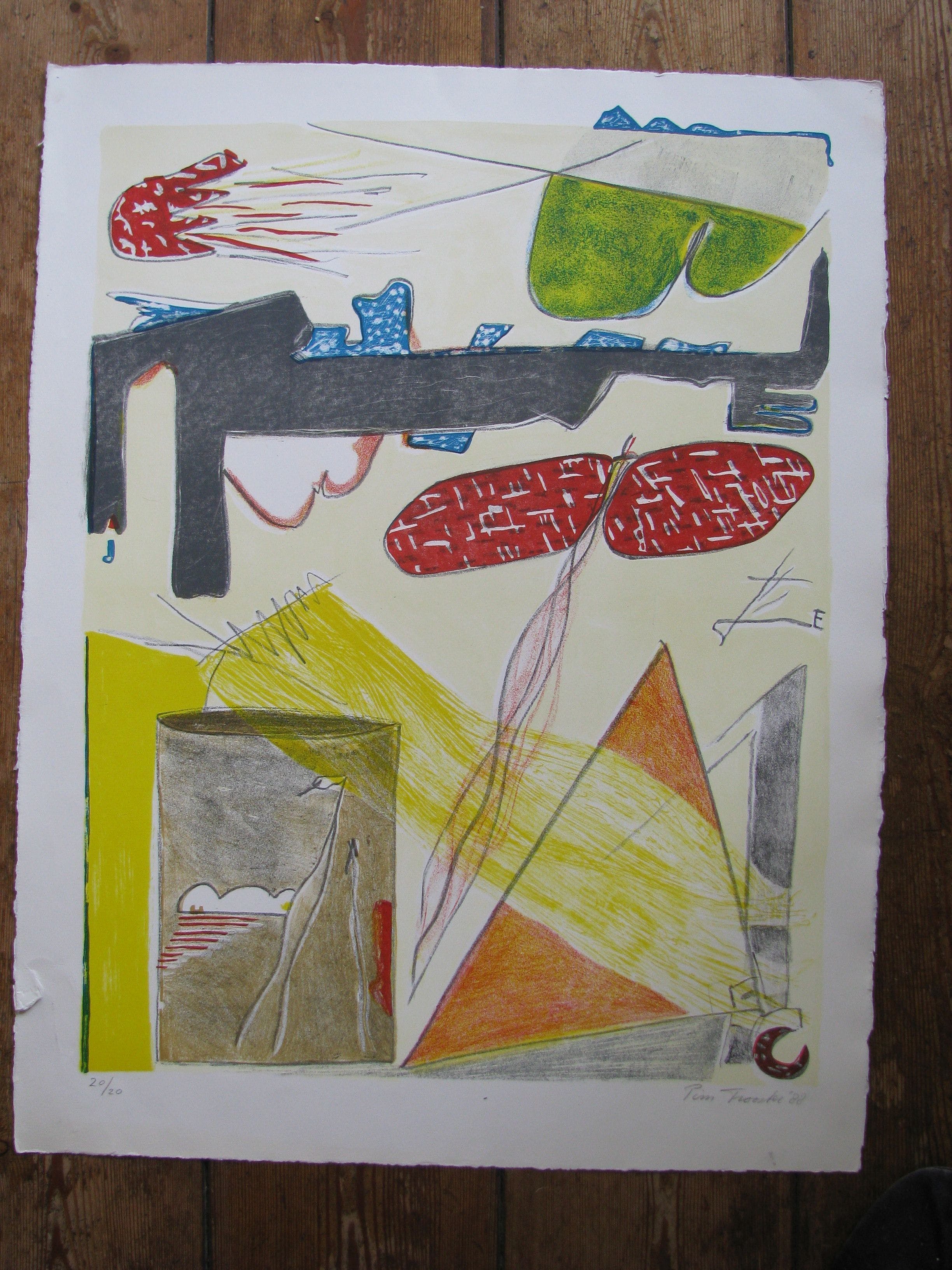 Pim Trooster - 2 kleurenlitho's kopen? Bied vanaf 65!