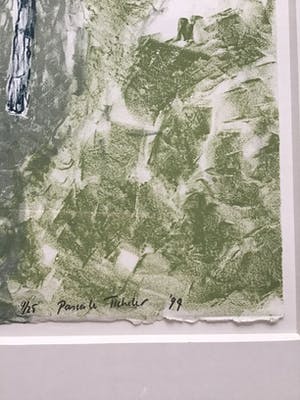 Pascale Ticheler - Litho, van tekening, gesigneerd, oplage 4/25, ingelijst met passe-partout kopen? Bied vanaf 65!