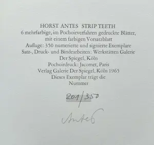 Horst Antes - Strip Teeth, complete uitgave met 7 pochoirs + gesigneerde aquarel kopen? Bied vanaf 1000!