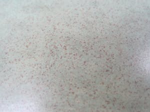 Niet of onleesbaar gesigneerd - Caledon schaal kopen? Bied vanaf 10!