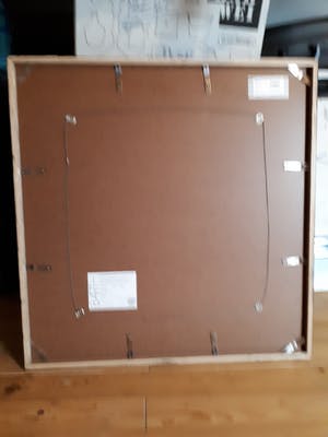 Rik Gorree - Shark kopen? Bied vanaf 40!