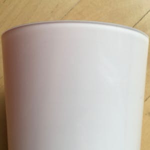 Carina Riezebos - Vaas voor Royal Leerdam kopen? Bied vanaf 75!