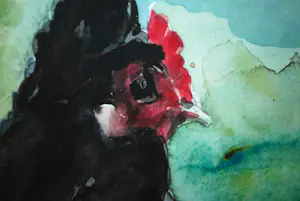 Jeanne Wesselius - Kip en haan - aquarel kopen? Bied vanaf 20!