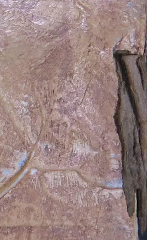 Carolina Paulussen - Acryl op doek, Zonder titel (Groot) kopen? Bied vanaf 1!