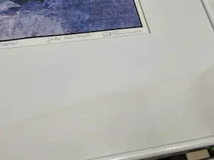 Hans Lie - Judo uchi mata kopen? Bied vanaf 20!