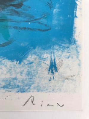Willy Rieser - Prachtige gesigneerde kleurenlitho - 33/40 kopen? Bied vanaf 65!