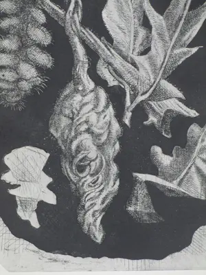 Ko Prange - Bijzondere vegetatie - Ets kopen? Bied vanaf 45!