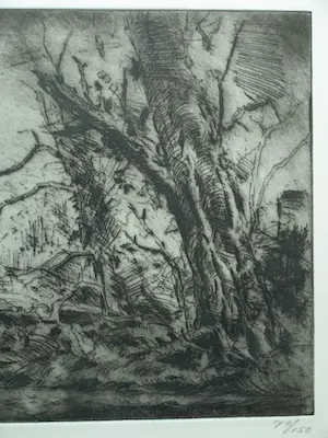 Wim Steijn - Ingelijste ets , Bos bij Haarlem – 1974 – Lijst, 37½ x 45½ cm. kopen? Bied vanaf 60!