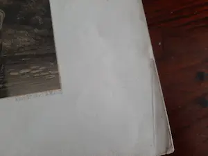 Gerard Bos - Koeien aan het water kopen? Bied vanaf 1!
