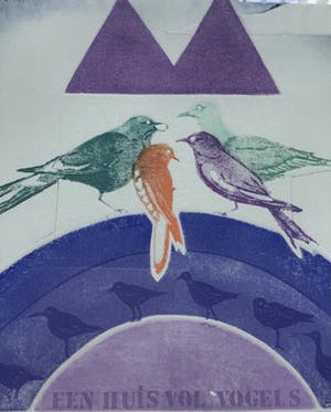 Ries Kleijnen - Ets aquatint, Een huis vol vogels, gesigneerd en ingelijst kopen? Bied vanaf 85!
