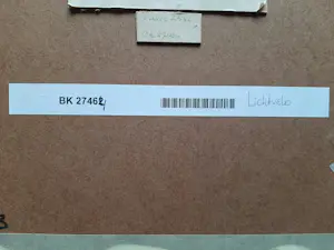 Alexander Lichtveld - Aquarel, Paus. kopen? Bied vanaf 40!