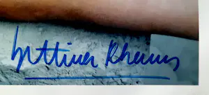 Bettina Rheims - Ohne Titel kopen? Bied vanaf 79!