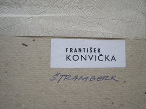 Niet of onleesbaar gesigneerd - Dorpsgezicht. kopen? Bied vanaf 1!