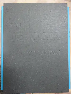 Willem Noyons - Een IJsvogel op zondag kopen? Bied vanaf 1!